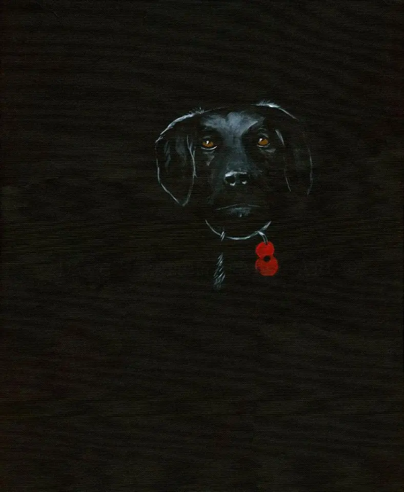 262 Limited Edition Giclée Art Print: 'Poppy Dog #5' 1