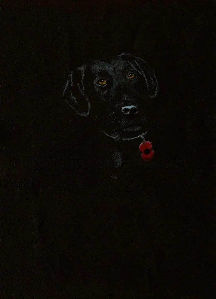 263 Limited Edition Giclée Art Print: 'Poppy Dog #2' 1