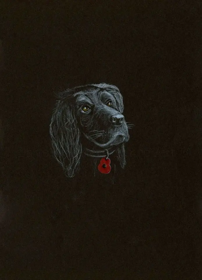 266 Limited Edition Giclée Art Print: 'Poppy Dog #11' 1