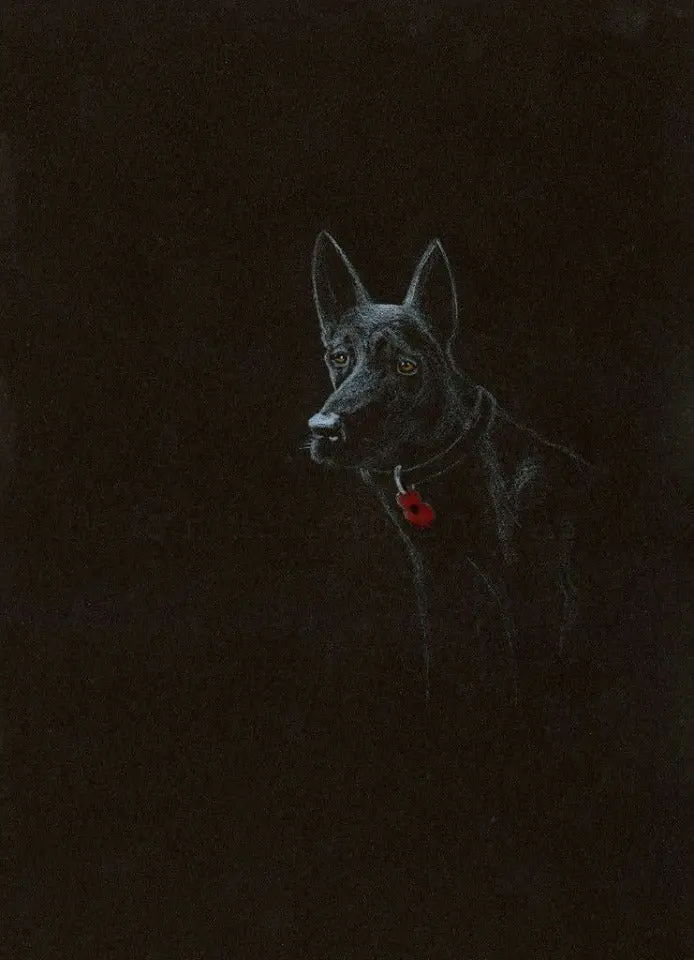 267 Limited Edition Giclée Art Print: 'Poppy Dog #10' 1