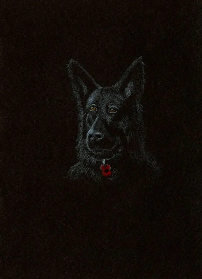 269 Limited Edition Giclée Art Print: 'Poppy Dog #3' 1