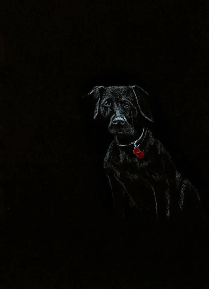 270 Limited Edition Giclée Art Print: 'Poppy Dog #1' 1