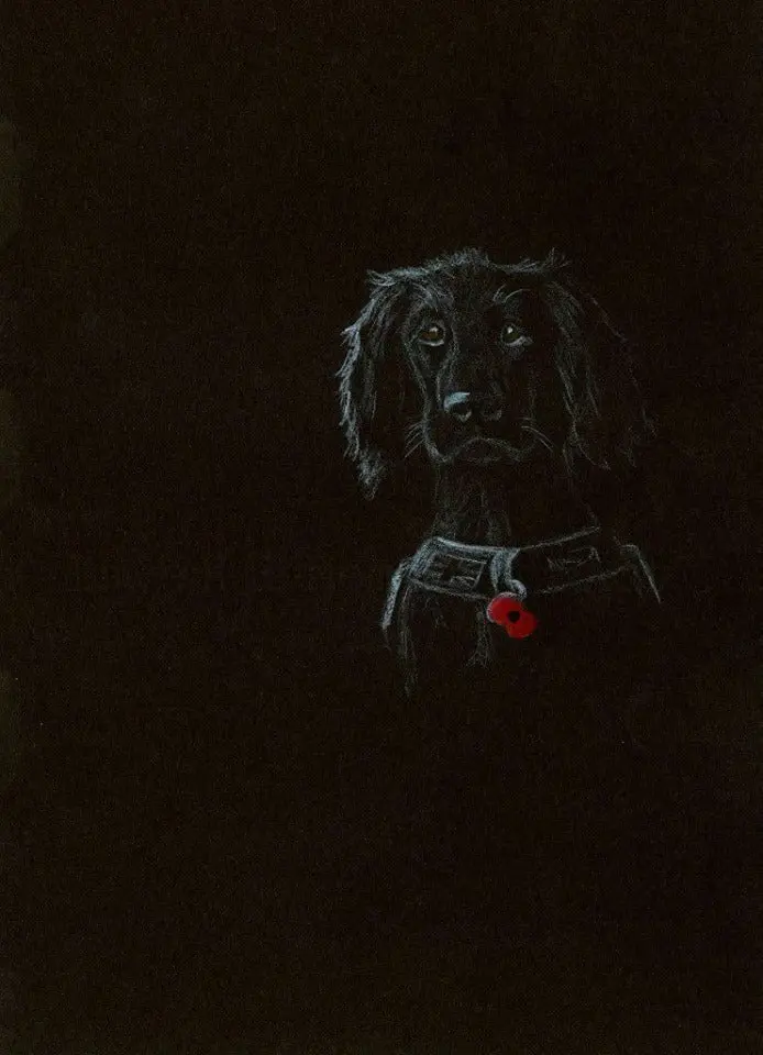 271 Limited Edition Giclée Art Print: 'Poppy Dog #4' 1