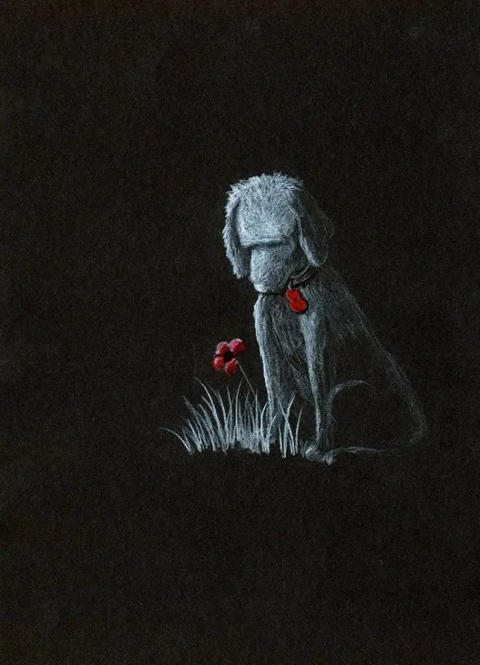 275 Limited Edition Giclée Art Print: 'Poppy Dog #15' 1