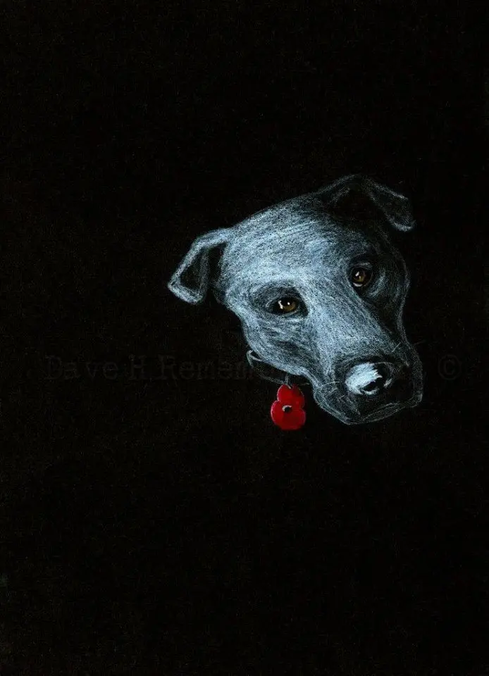 278 Limited Edition Giclée Art Print: 'Poppy Dog #8' 1