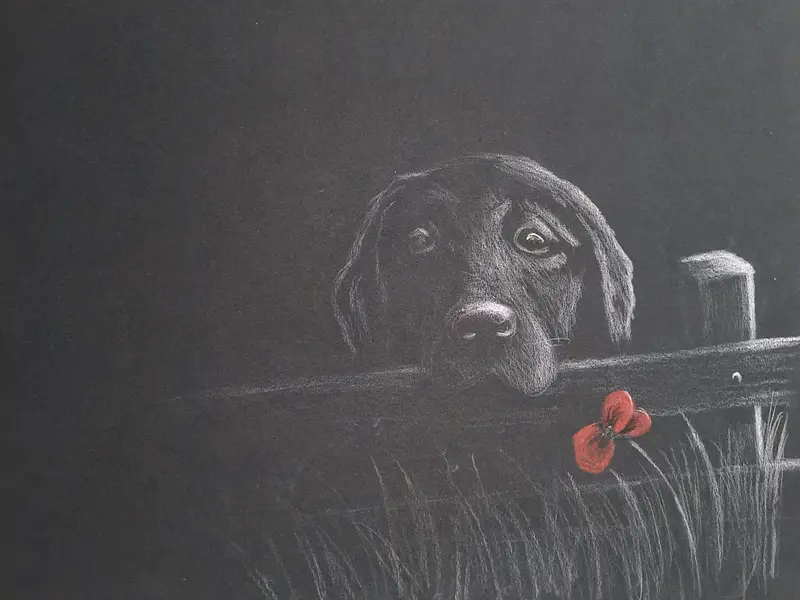 412 Contemplative Giclée Print – 'Patiently Waiting' 1