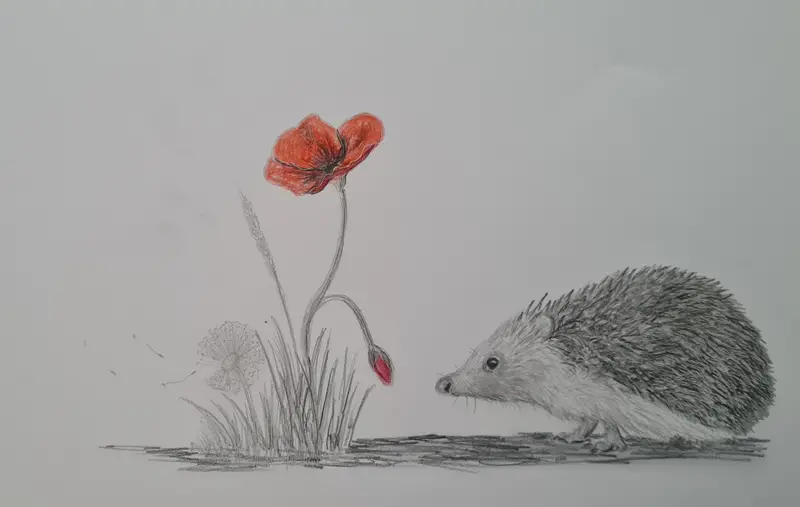 577 Original Polychromo Print – 'Poppy Hog' 1
