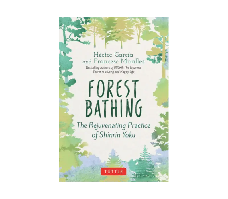Beginner'S Guide To Forest Bathing: Mindful Nature Immersion 1