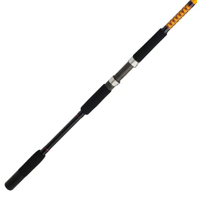 Bigwater Spinning Rod – Saltwater-Ready 10'2" Heavy Power Rod (Bwsf1530S102) 1