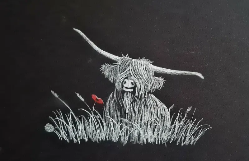 Carefree Coo – Original Polychromo Illustration 1