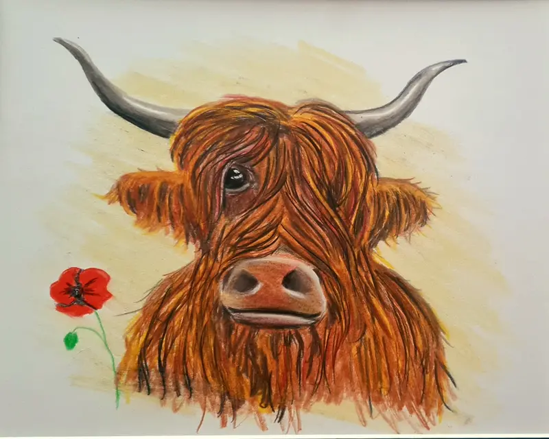 Colourful Coo – Original Polychromo Illustration 1