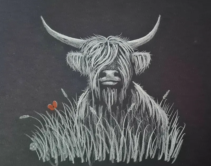 Conor Coo – Original Polychromo Drawing 1