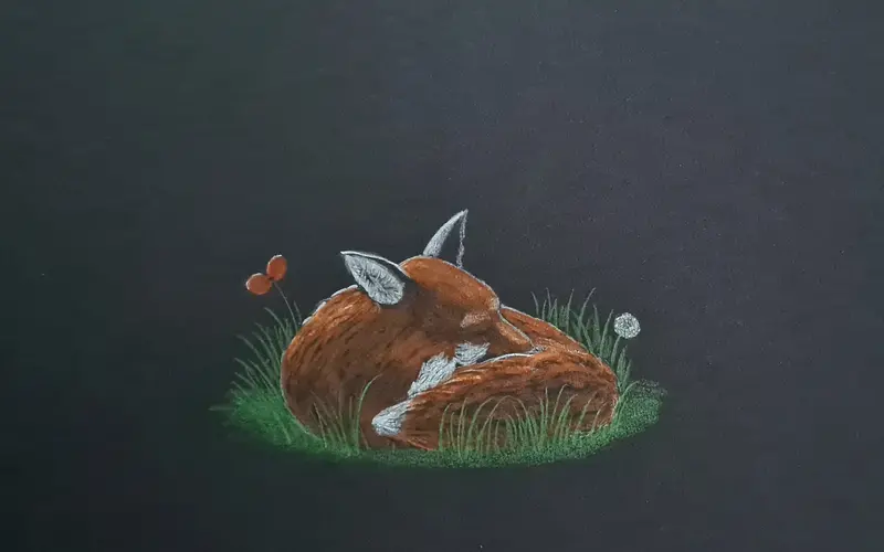 Contemporary Polychromo Art: 'Poppy Dreams Ii' 1
