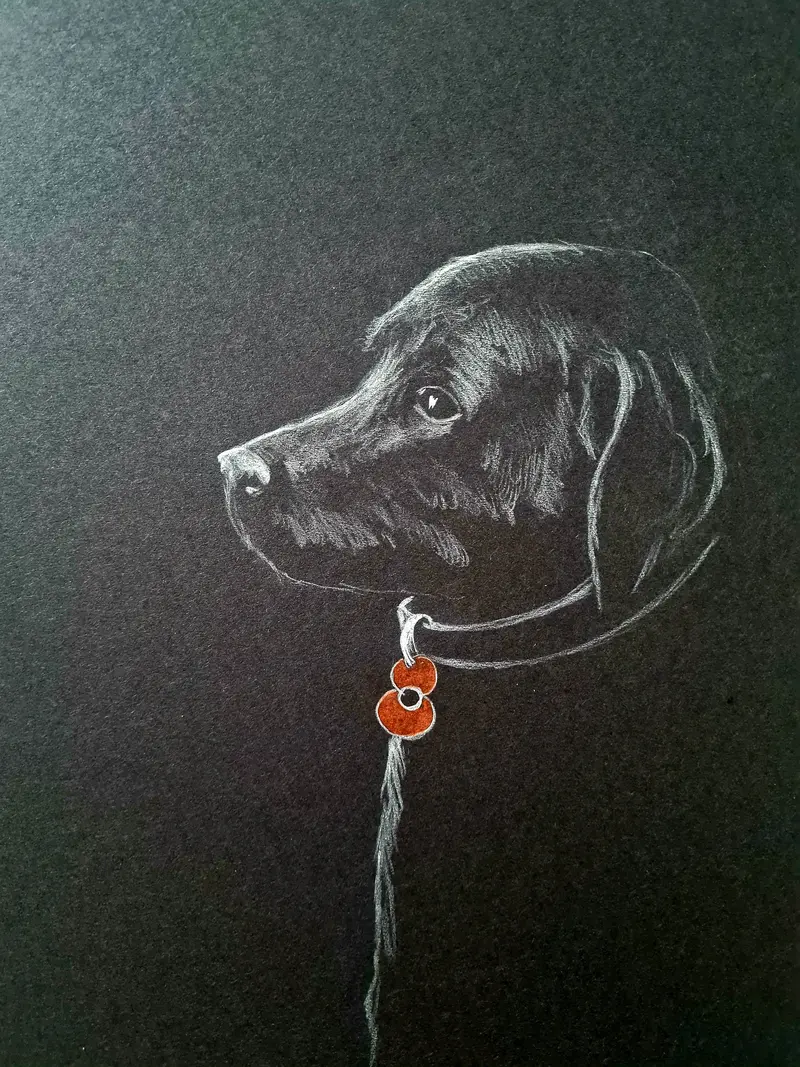 Cs003 Original Polychromo Print: 'Poppy Dog No. 50' 1