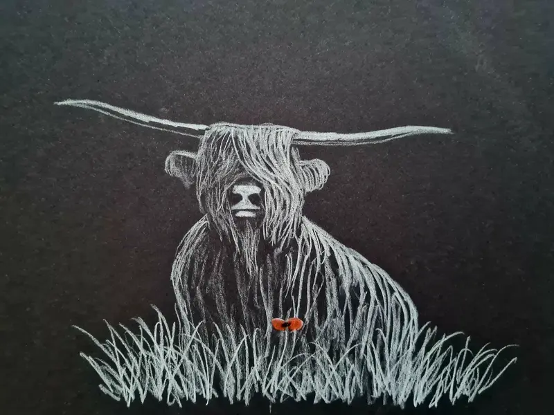 Cs009 Original Polychromo — 'Coo #55' Animal Illustration 1