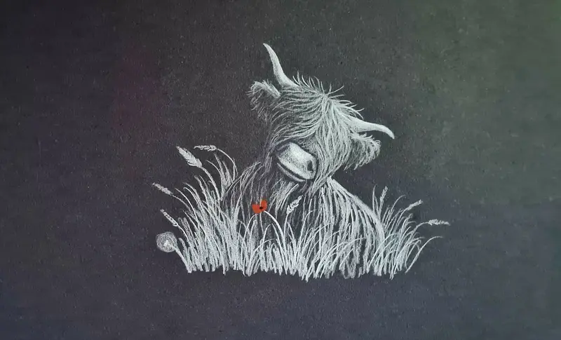 Curious Coo – Original Polychromo Drawing 1