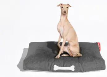 Doggielounge Large Dog Bed – Exclusive Deal 1