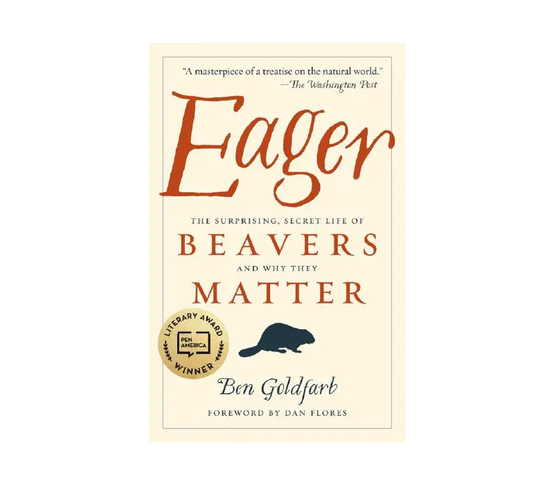 Eager: The Hidden World Of Beavers And Their Ecological Impact 1