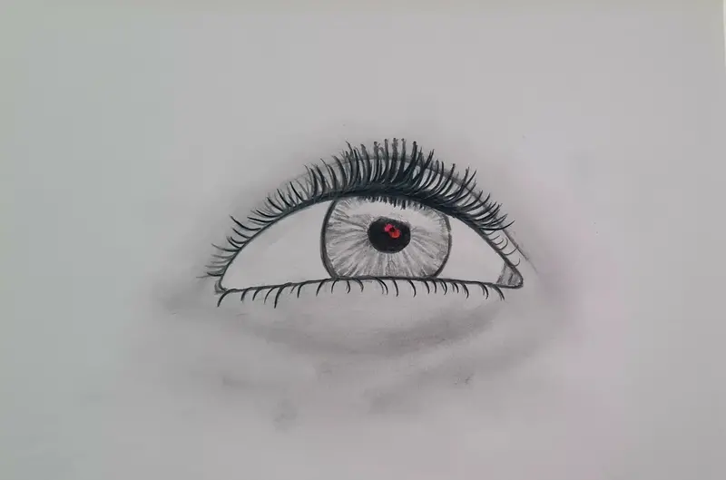 Eye Spy A Poppy – Original Polychromo & Graphite Drawing 1