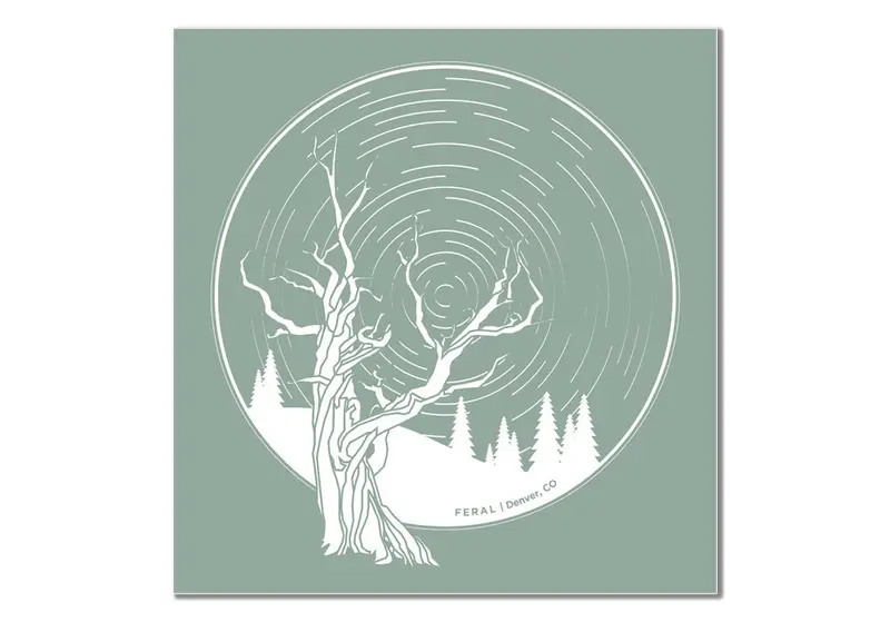 Feral Tree & Star Trails Teal Sticker – Celestial Outdoors Theme 1