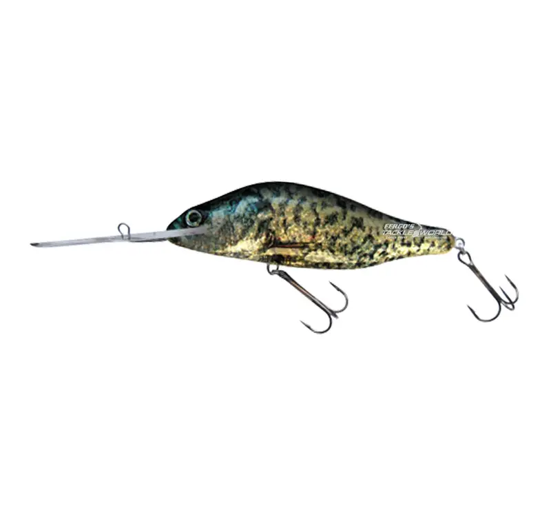 Hester Humpback Diving Hard Baits 1