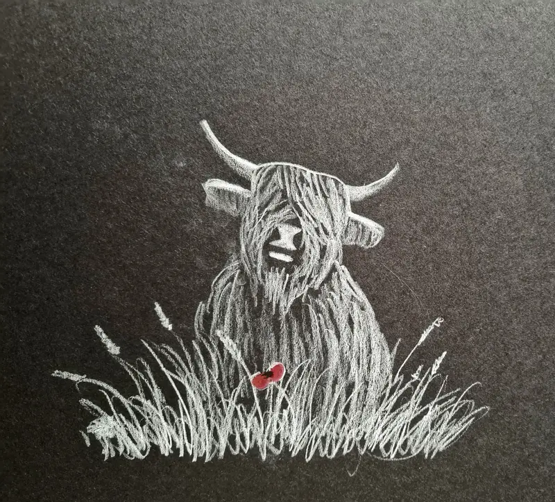 Highland Coo #27 – Original Polychromo Drawing 1