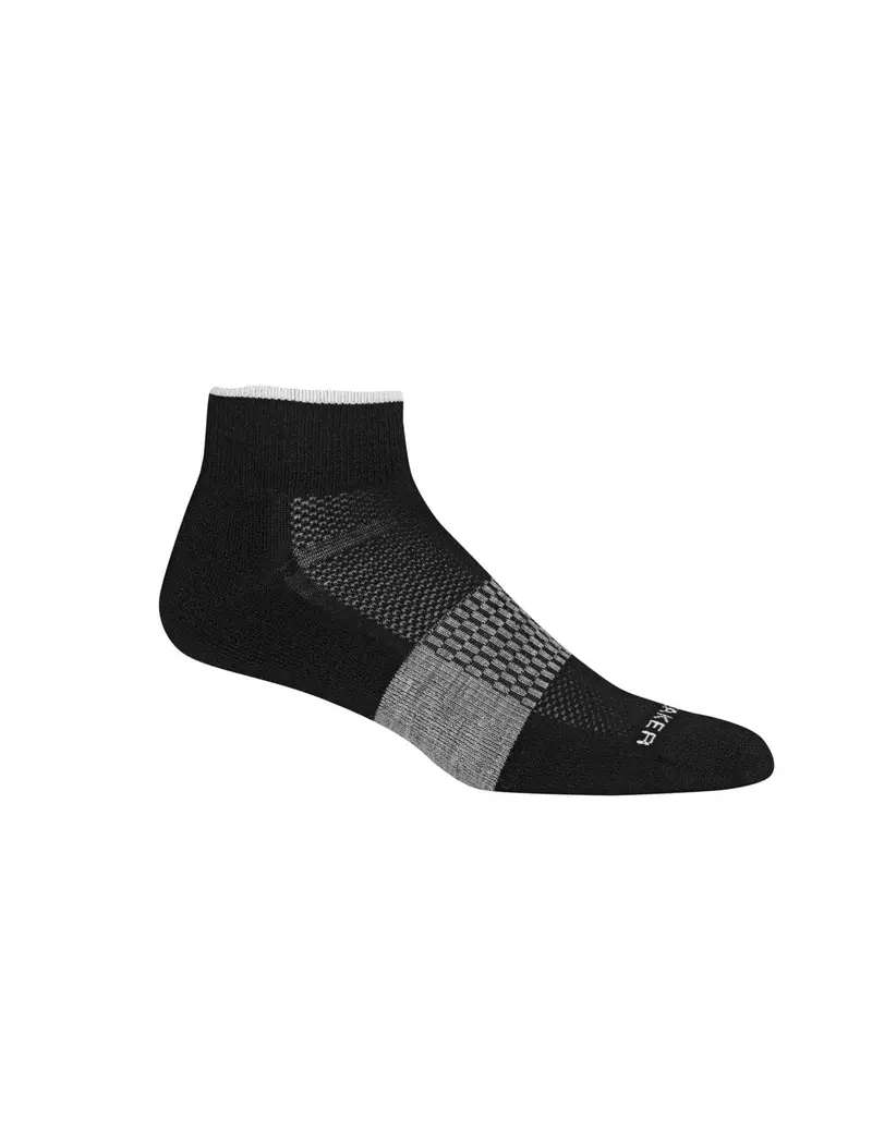 Icebreaker Merino Wool Multisport Light Mini Socks – Men’S 1