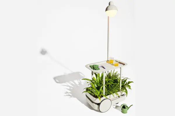 Lighted Bar Cart With Bone-Shaped Trolley Frame 1