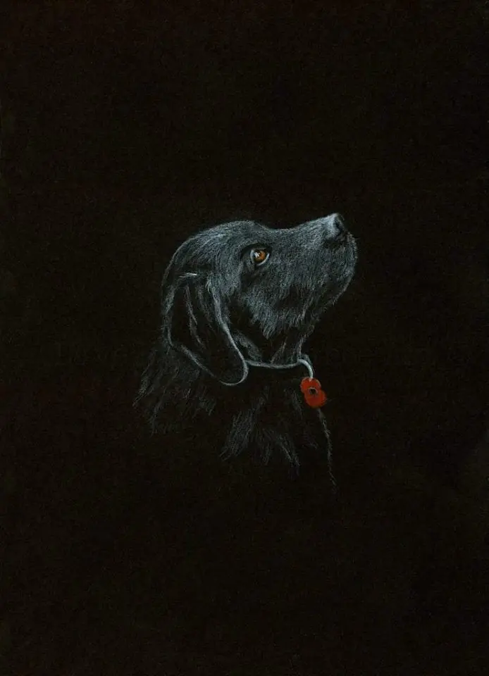 Limited Edition Giclée 'Poppy Dog #18' – Patriotic Canine Portrait #291 1