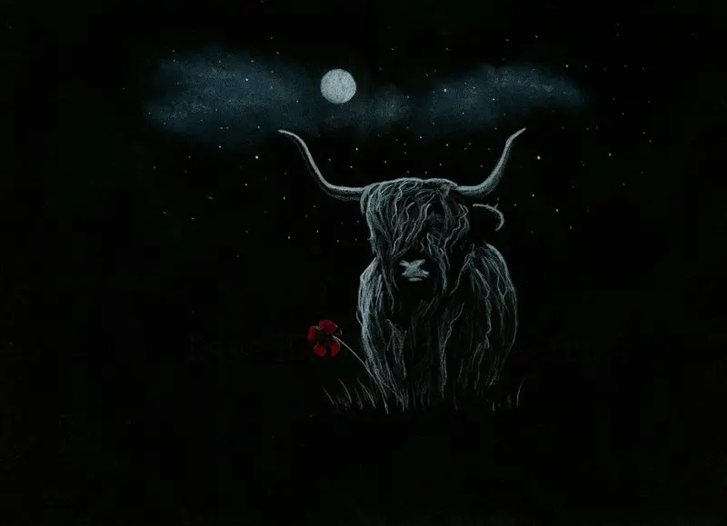 Limited Edition Giclée Print 293: 'Hamish' 1