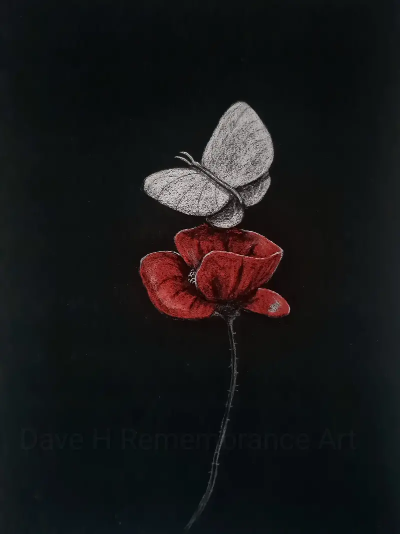 Limited Edition Giclée Print #475: 'White Butterfly Poppy' 1