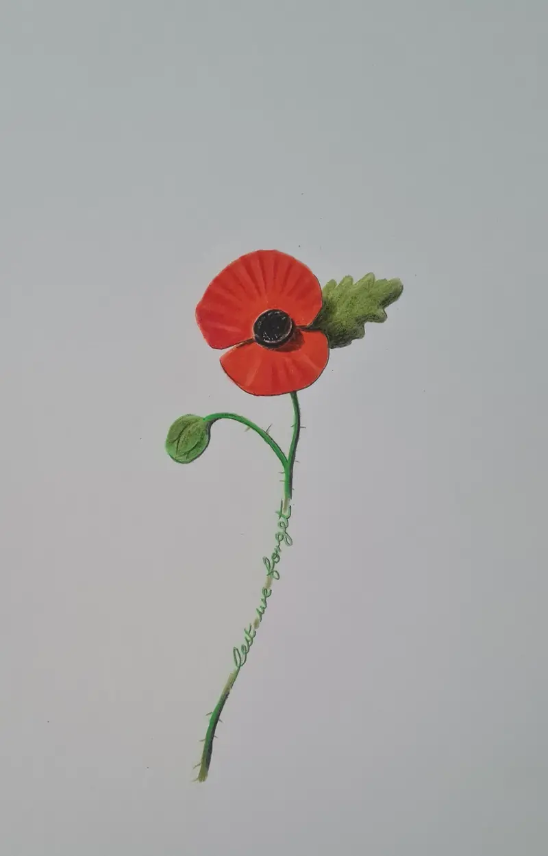 Lwf Paper Poppy – Original Polychromo Drawing 1