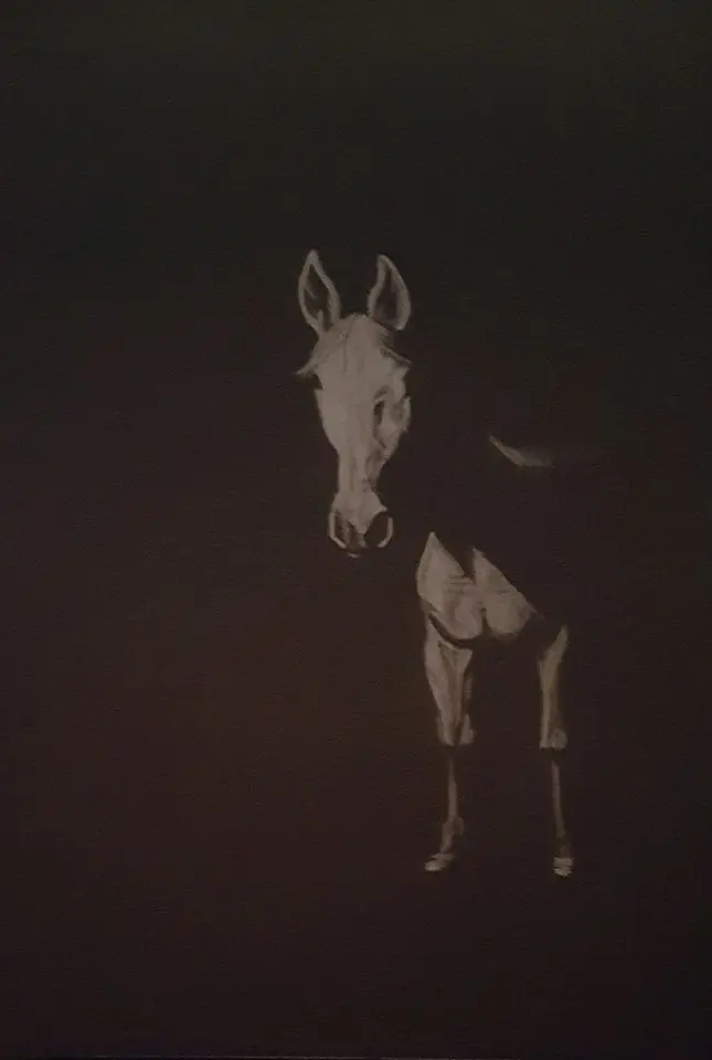 Moonlit Horse – Atmospheric White-On-Black Polychromo Drawing 1