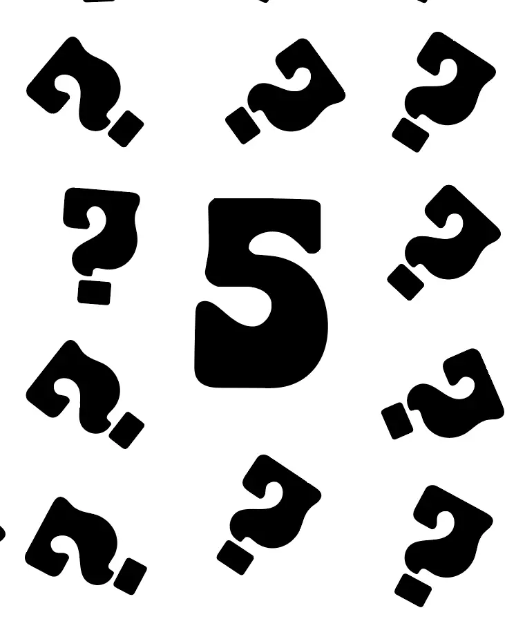 Mystery Clothing Bundle: 5 Items For $100 1