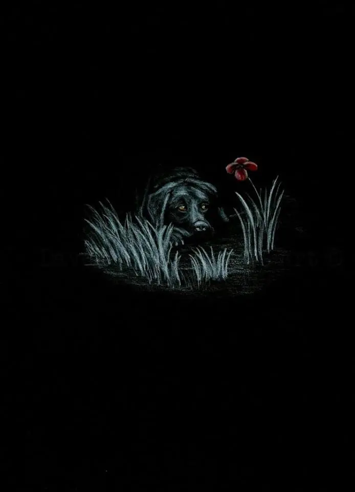 Open Edition Giclée 'Poppy Dog #19' – Commemorative Animal Art #299 1