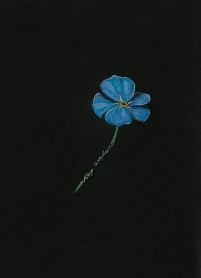 Open Edition Giclée Print: 'Keyworker Forget-Me-Not' (Artwork #382) 1
