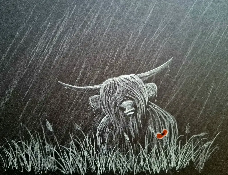 Original Polychromo Artwork Cs008: 'Highland Coo #54' 1