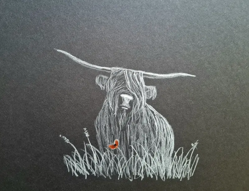 Original Polychromo Artwork Cs010: 'Highland Coo #56' 1
