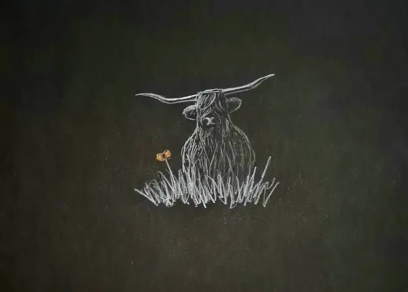 Original Polychromo Artwork U516: 'Highland Coo #16' 1