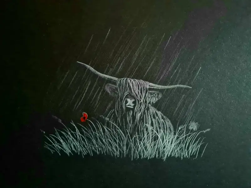 Polychromo Original Artwork: 'A Coo In The Rain' 1