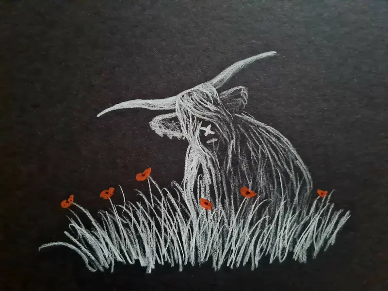 Polychromo Original Artwork 'Highland Coo #30' (U617) 1