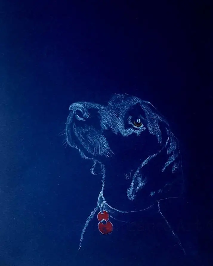 Poppy-Adorned Canine Portrait: 'Poppy Dog #21' 1