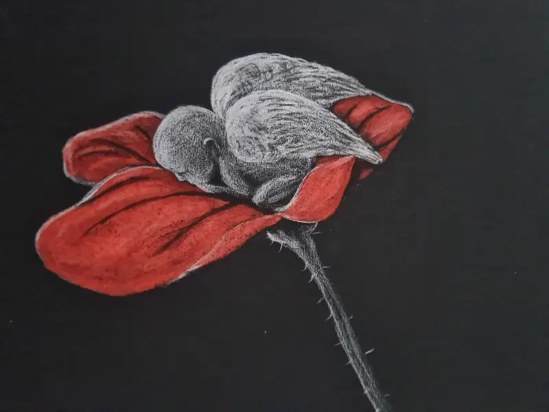 Poppy Angel – Open Edition Giclée Art Print 1
