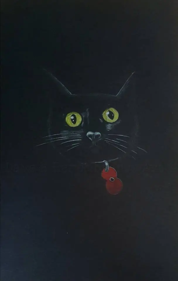 Poppy Cat – Monochrome Polychromo Art Print 1