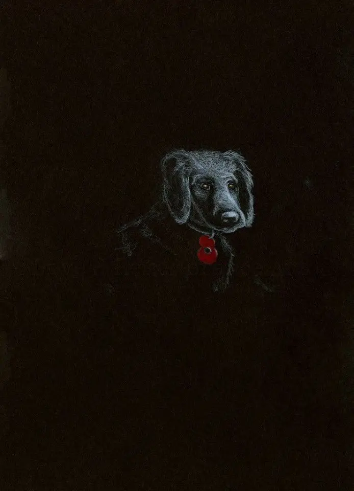 Poppy Dog #12 Original White-On-Black Polychromo – Bold Memorial Canine Portrait 1