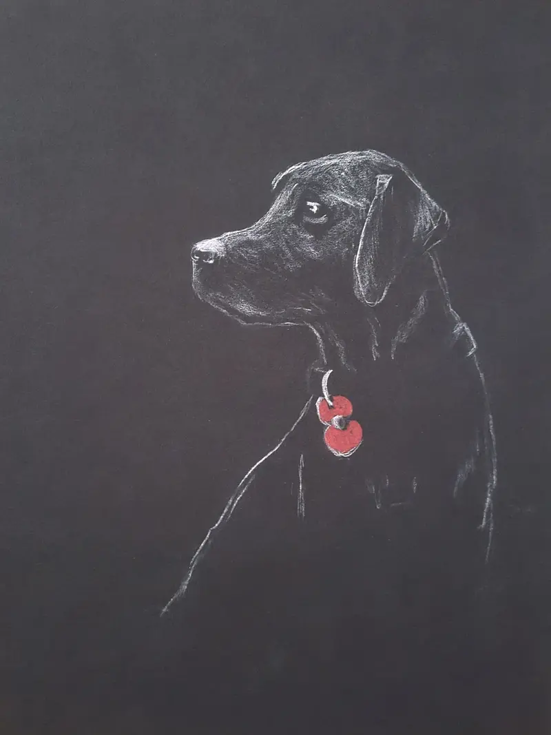 Poppy Dog #45 – Limited Edition Giclée Art Print 1