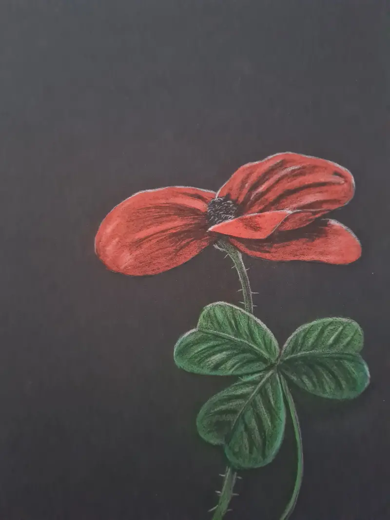 Shamrock Poppy – Open Edition Giclée Art Print 1