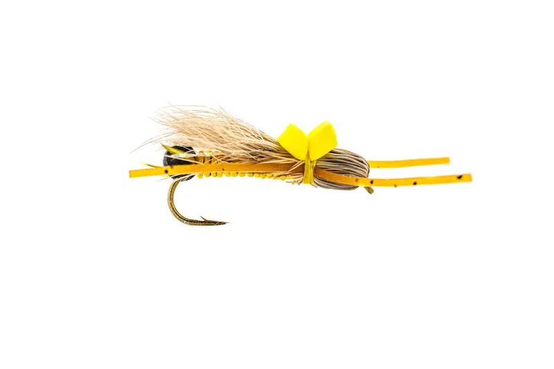 Solitude Bullet Head Golden Stone Fly, 3-Pack 1