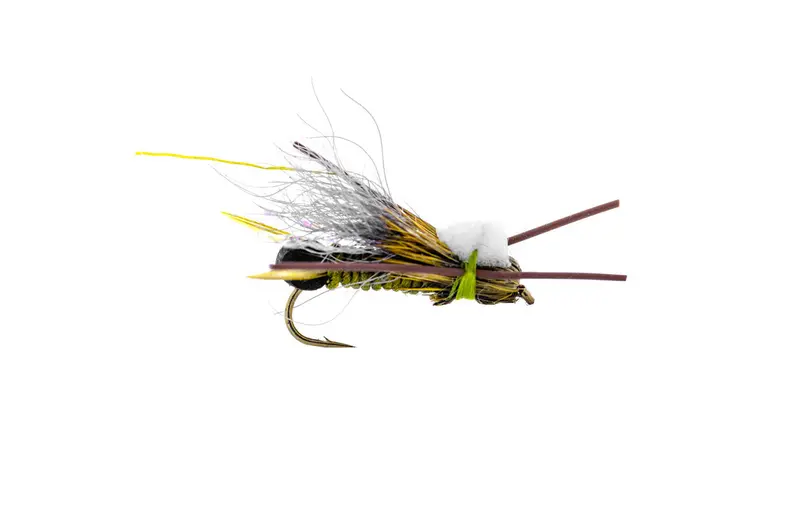 Solitude Bullet Head Skwala Nymph – 3-Pack 1