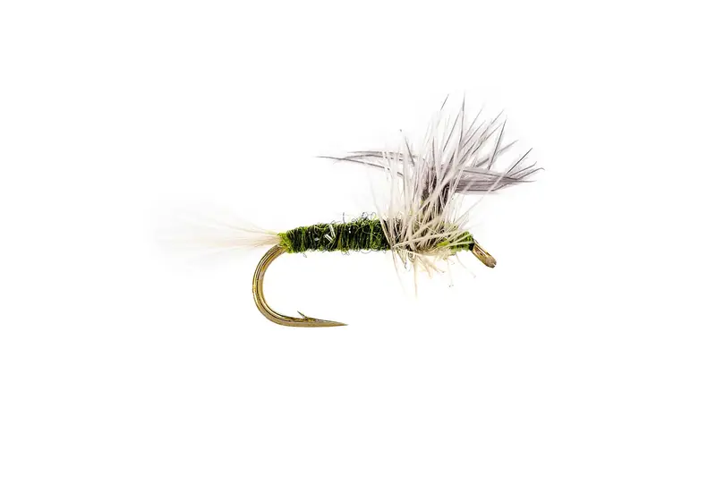 Solitude Bwo Thorax Dry Fly – Blue-Winged Olive Imitation, 3-Pack 1